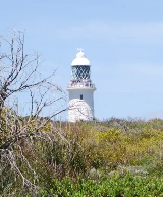Erkunde die Bucht mit Wanderungen und Walbeobachtung